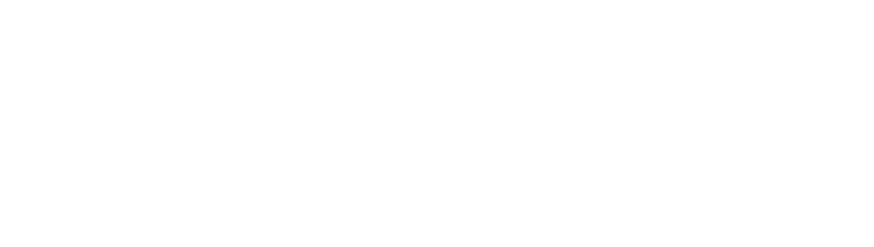 logo-bitfun-mexico